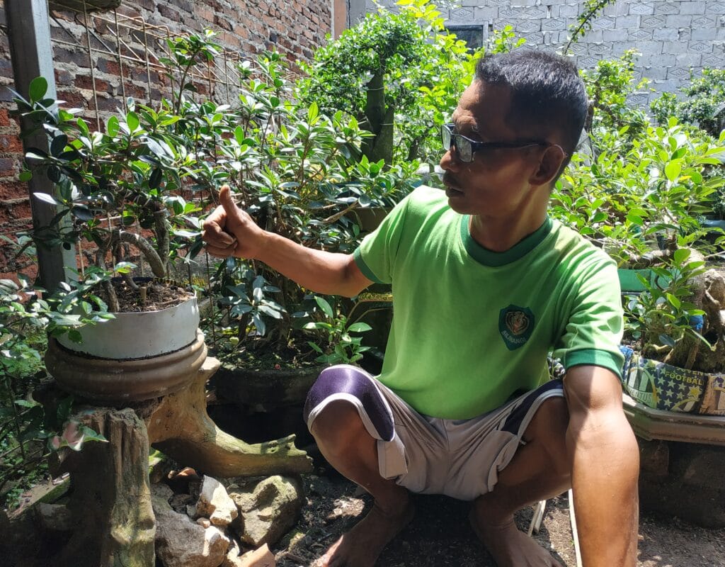 Ma’ad  Puluhan Tahun Menggeluti Bonsai Makin Lama Makin  Cinta